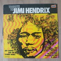Jimi Hendrix (VG)