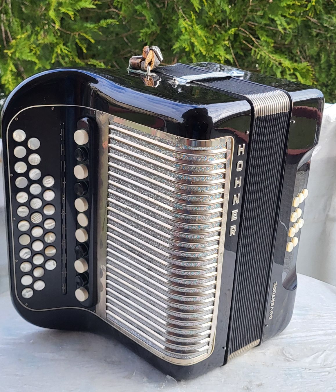 Hohner Strumenti musicali: Accordéon hohner Ouverture 4 voix – Usato da Penthalaz venduto da EvandroLuz 1