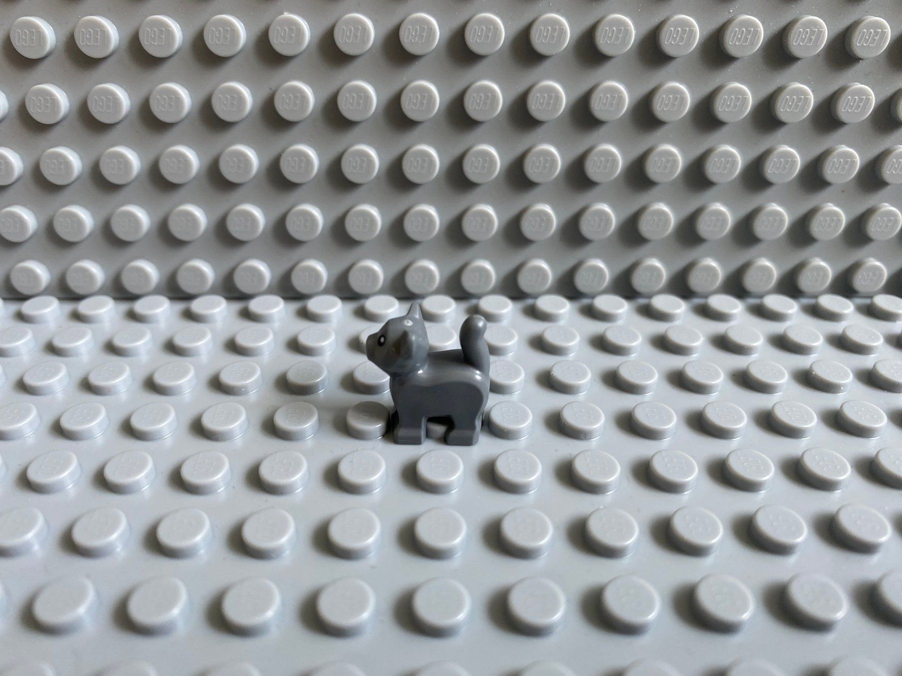 Lego Baukästen: Lego Tiere - Katze Baby – Neu (gemäss Beschreibung) aus Horw von G39517sG 1