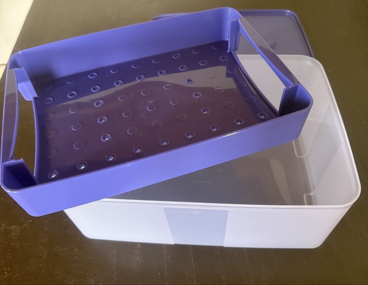 Tupperware Contenitori & Simili: Tupperware Kühlschrank-/  Tiefkühlbehälter – Nuovo (secondo la descrizione) da Flumserberg Saxli venduto da delfinli67 3