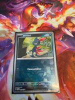 Sniebel (xPRE 061) / Pokeball / Prismatische Entwicklungen