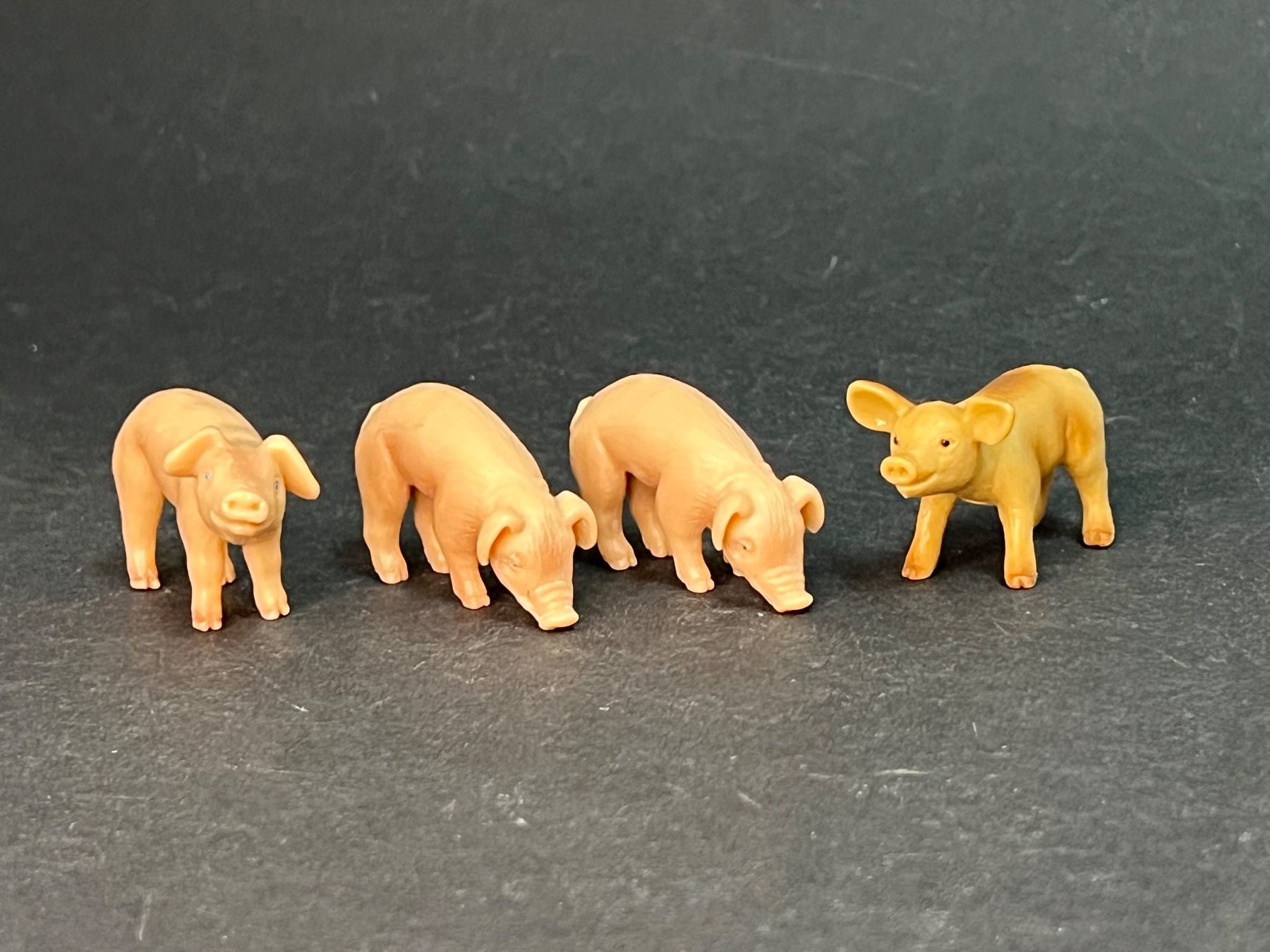 Schleich Statuette: Schleich Schweine Schwein Eber Sau Ferkel alt – Usato da Ennetbaden venduto da mapa05 5