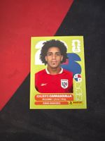 Panini FIFA WM 2026 Sticker - PAN 12