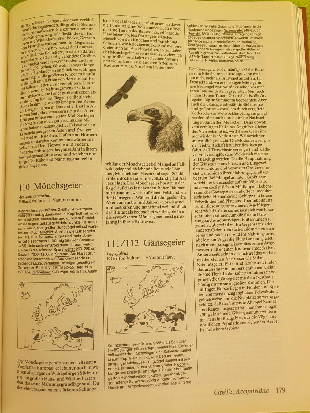 Bücher: Fotoatlas der Vögel – Gebraucht aus Steinhausen von joseph-sen 8