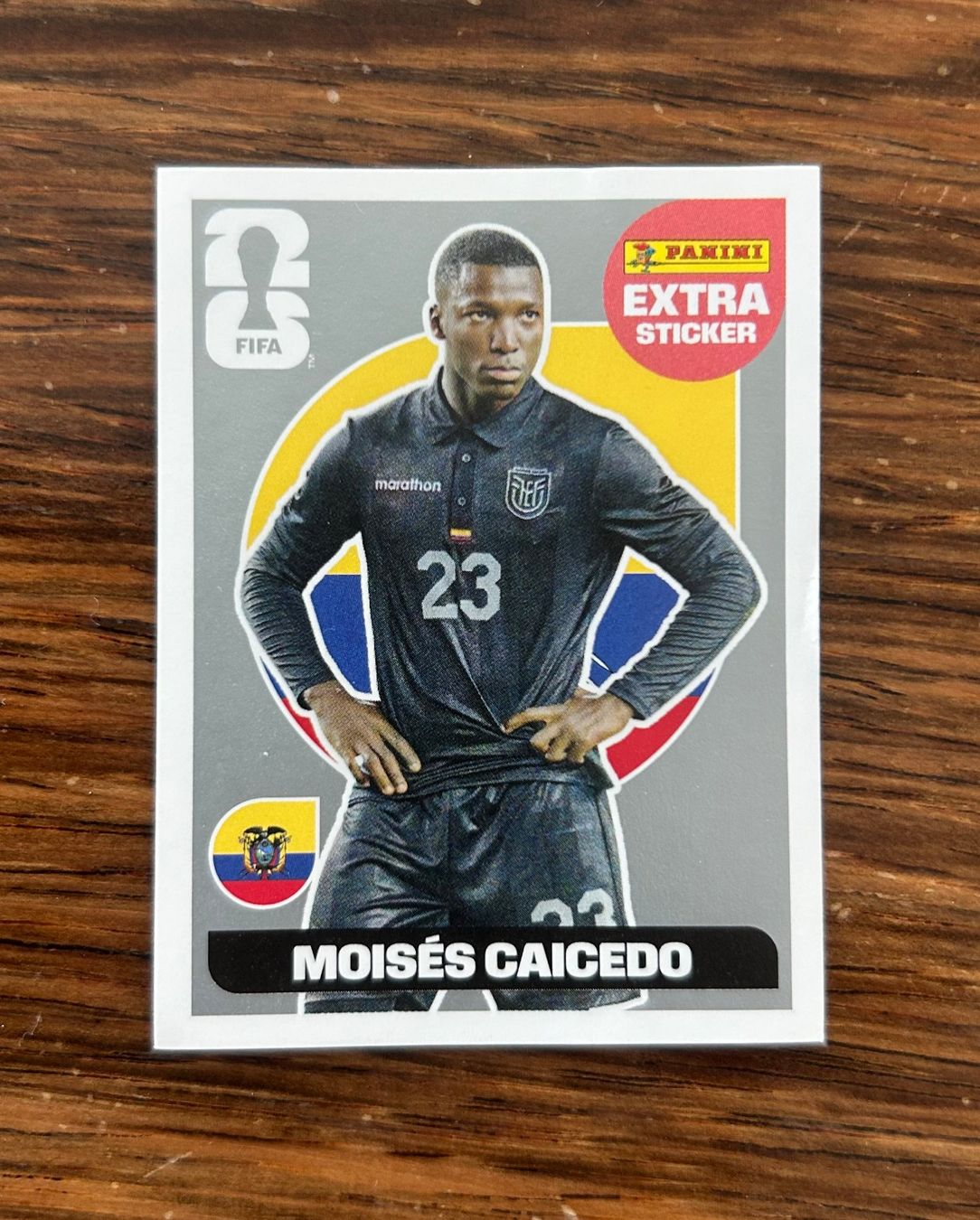 Panini Cartes à collectionner: Moisés Caicedo Extra Sticker silber – D'occasion à Solothurn par Reto_A1
