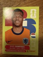 Panini Fifa NED 6
