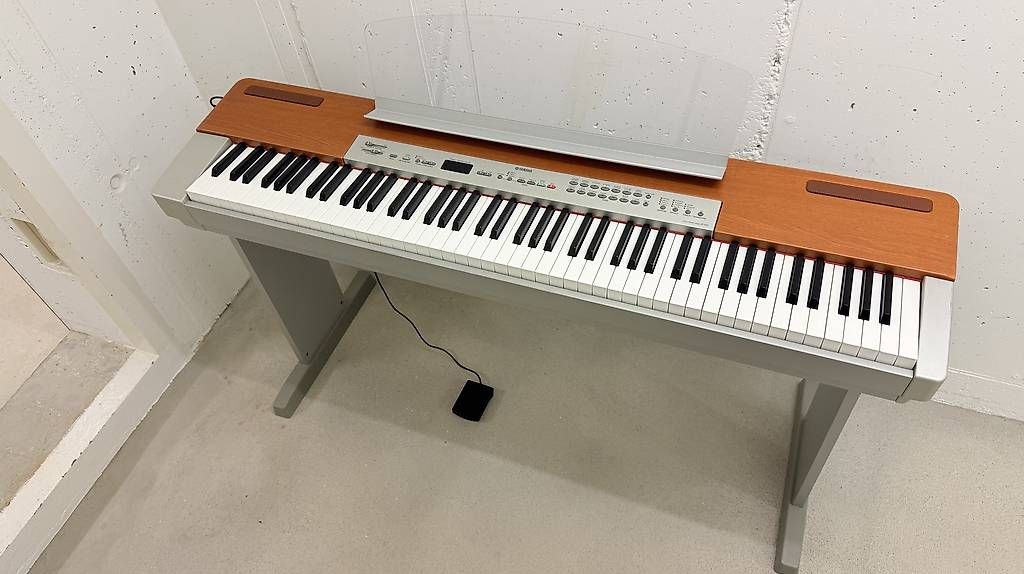 Yamaha Strumenti musicali: Yamaha P-120 Digital Piano – Usato da Rüti ZH venduto da nazaruch1
