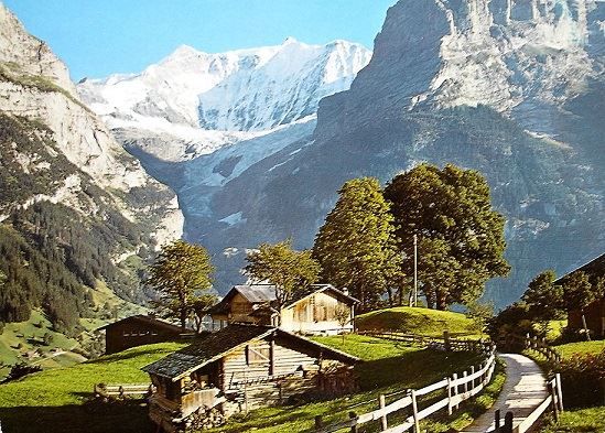 Ansichtskarten: GRINDELWALD Fiescherhörner – Neu (gemäss Beschreibung) aus Jona von philajona