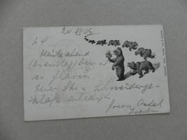 Karte Humor  Bern Bären Blumenstrauss 1904 Stempel Burgdorf