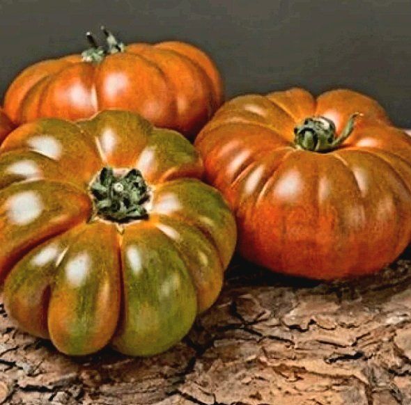 Pflanzen & Samen: Ab 5.- fr 5 Samen schwarze RIPPENTOMATE – Neu und originalverpackt aus Rovio von POSITIFFARTandPLANTS 1