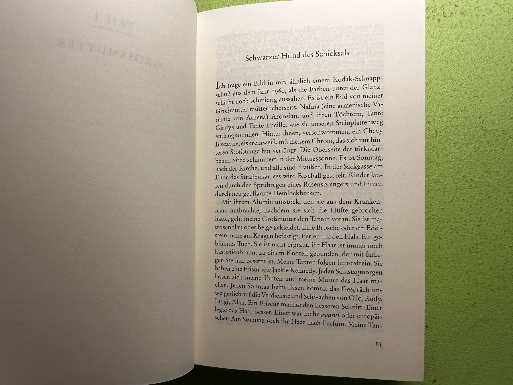 Libri: Peter Balakian: Die Hunde vom Ararat. – Usato da Zürich venduto da allp 5