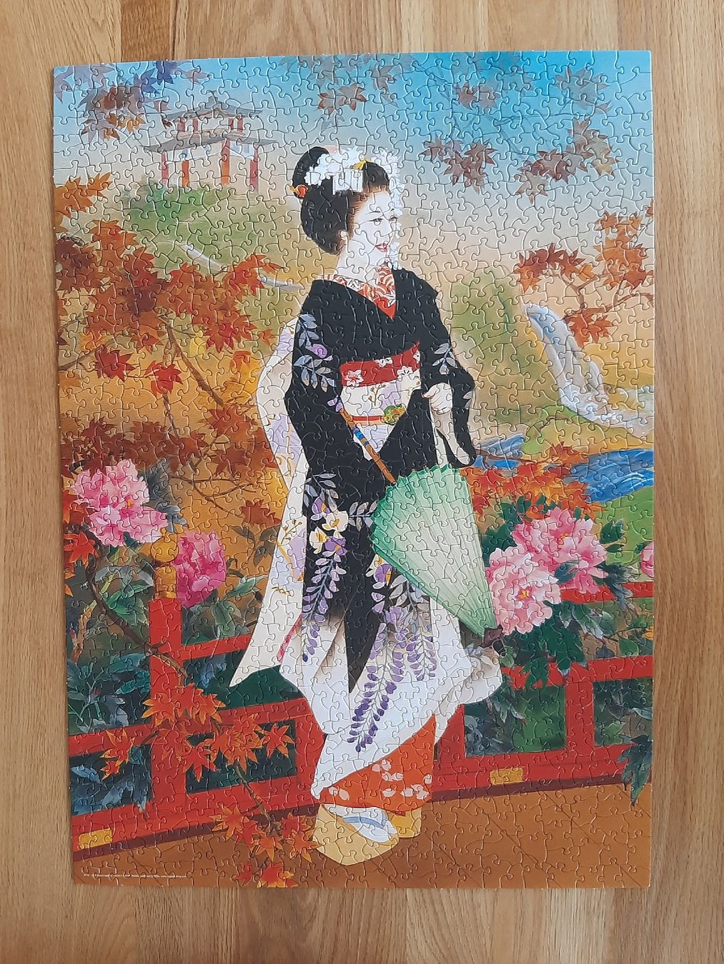 Puzzle: 2x Puzzle 1000 mit Smartcut – Usato da Zürich venduto da LeSchwab 2