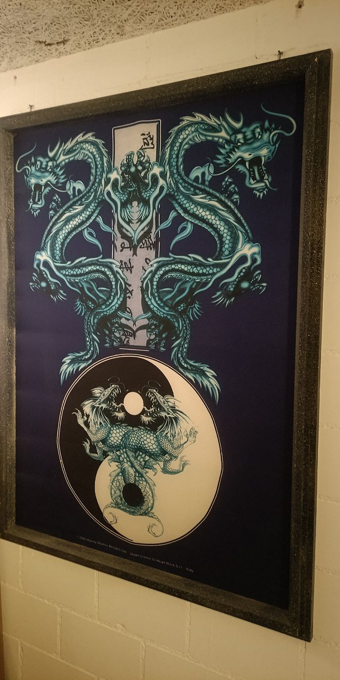 Foto & Immagini: Bilder, Drachen, Totenkopf – Usato da Guntershausen venduto da Jtattoo 4