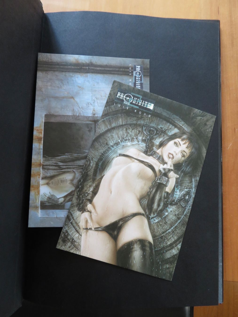 Comics: Luis Royo: Prohibited – Gebraucht aus Bern von mordswein 3