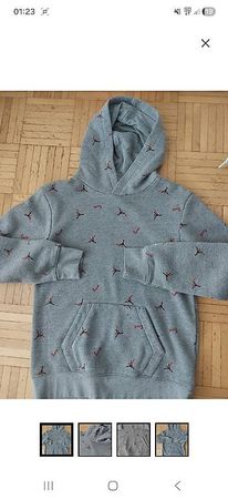 Jordan Hoodie