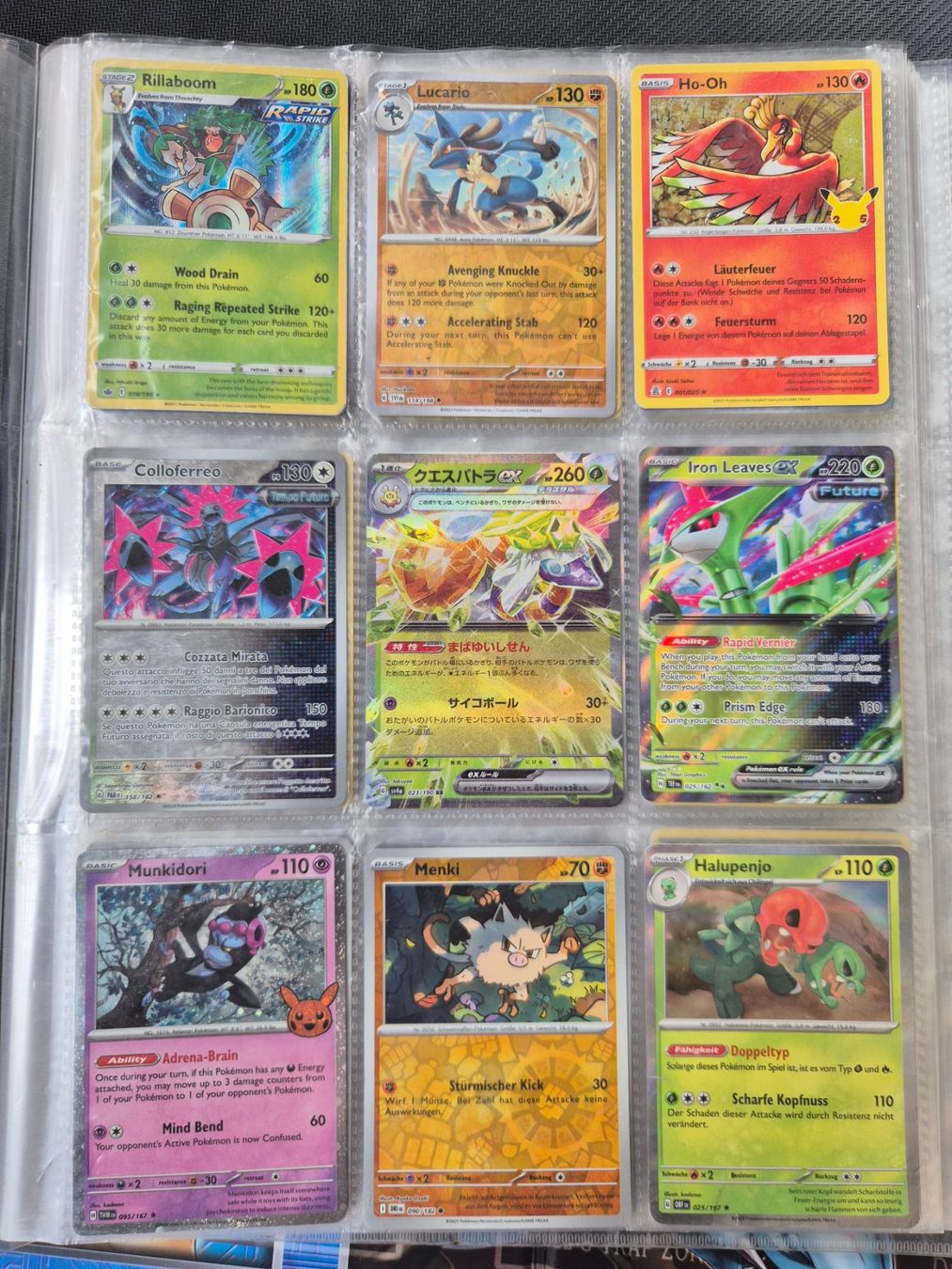 Pokémon Carte collezionabili: Pokemon Ordner – Usato da Opfikon venduto da Steins_Siedlung 2