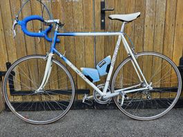 BENOTTO Vintage-Rennrad 12 Ga. Shim. Dura-Ace neu Revidiert