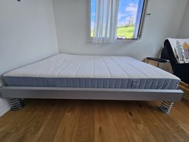 LETZTE CHANCE: Bett Hasena 160x200cm