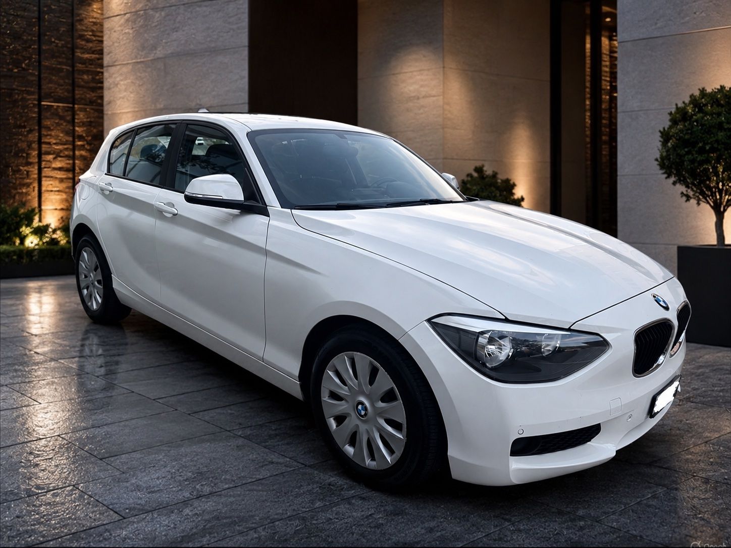 BMW Automobili: BMW 114i  Business – Usato da Kollbrunn venduto da datu80