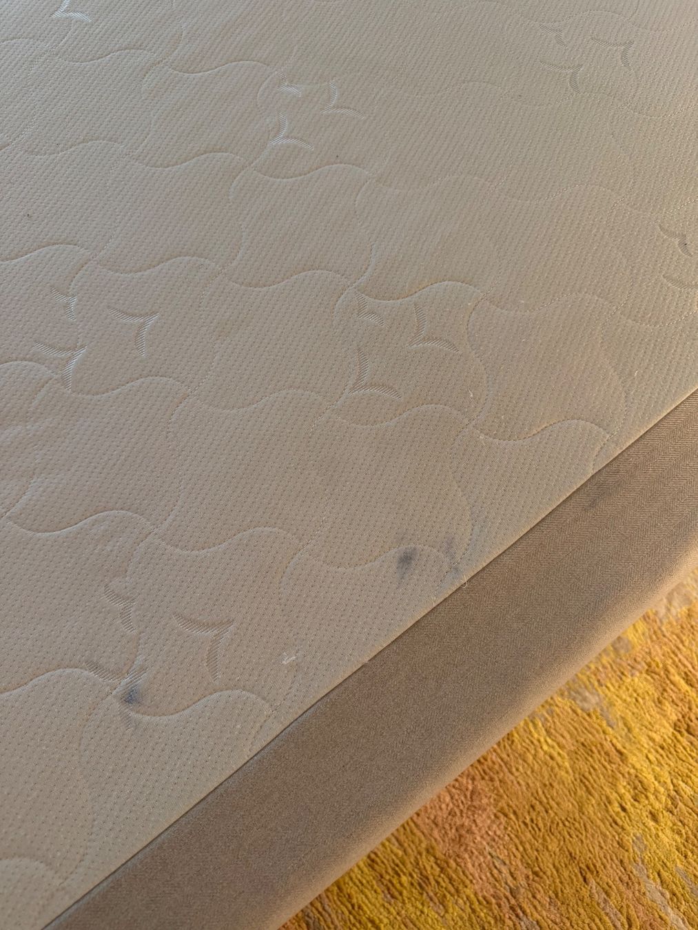 Hasena Betten: Hasena Designer Boxspringbett "Island-Spring Massiva" – Gebraucht aus Küssnacht am Rigi von TheMarket55 5
