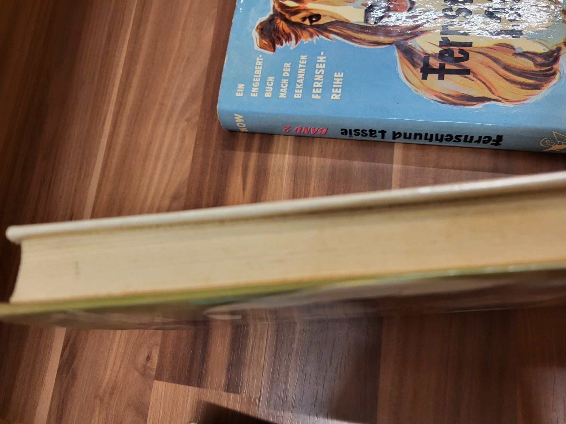 Libri: Lassie Bücherset B3 – Usato da Schwarzenburg venduto da Flamingo07 3
