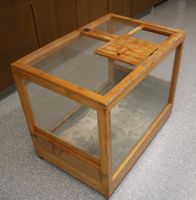 Terrarium