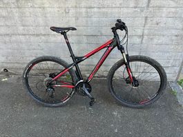 Bergamont Roxtar 4.0 Mountainbike