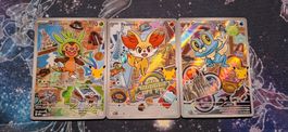 First Partner Illustration Serie 3 - Kalos Set FR