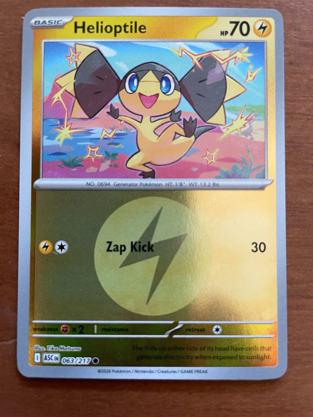 Pokémon Carte collezionabili: Pokemon Helioptile Reverse (Versand gratis) – Nuovo (secondo la descrizione) da Chur venduto da Angerson