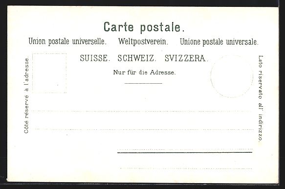 Cartoline postali: AK Lichtensteig, Totalansicht – Usato da Berlin venduto da bartko-reher 1