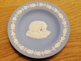 Wedgwood Jasperware Teller / Schale, Nature  Reserves
