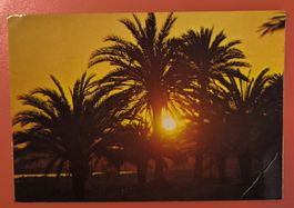 Gran Canaria Sonnenuntergang 1976