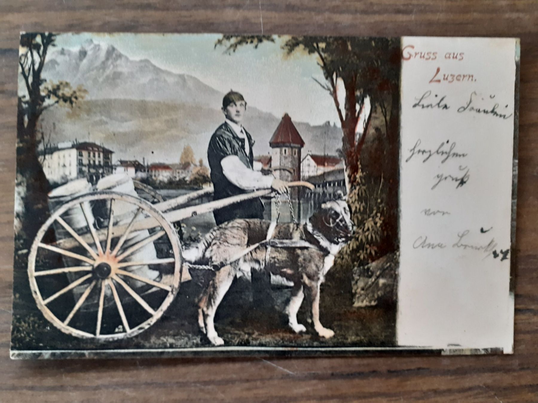 Cartoline postali: Ansichtskarte Milchkarren 1899 – Usato da Mörschwil venduto da aik_x8mc