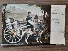 Ansichtskarte Milchkarren 1899