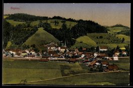 AK Signau, Totalansicht mit Kirche und angrenzendem Wald