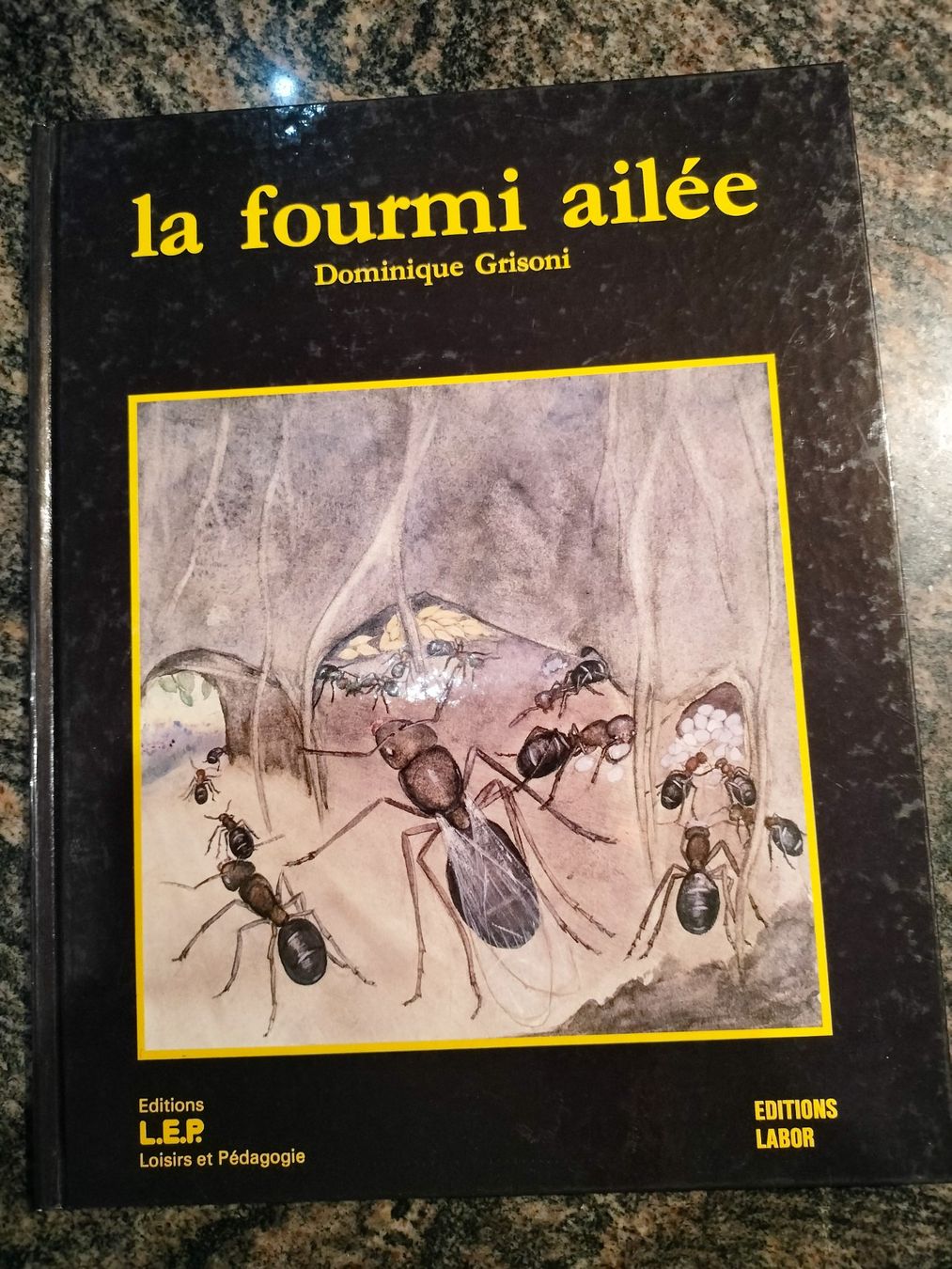 Bücher: La Fourmi ailée Dominique Grisoni – Gebraucht aus Cortaillod von rozinna