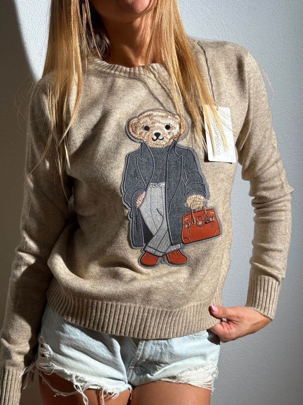 Pulls & Sweat-shirts: Pullover – Neuf avec emballage d'origine à Emmen par mas_gw7t