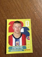Panini 
