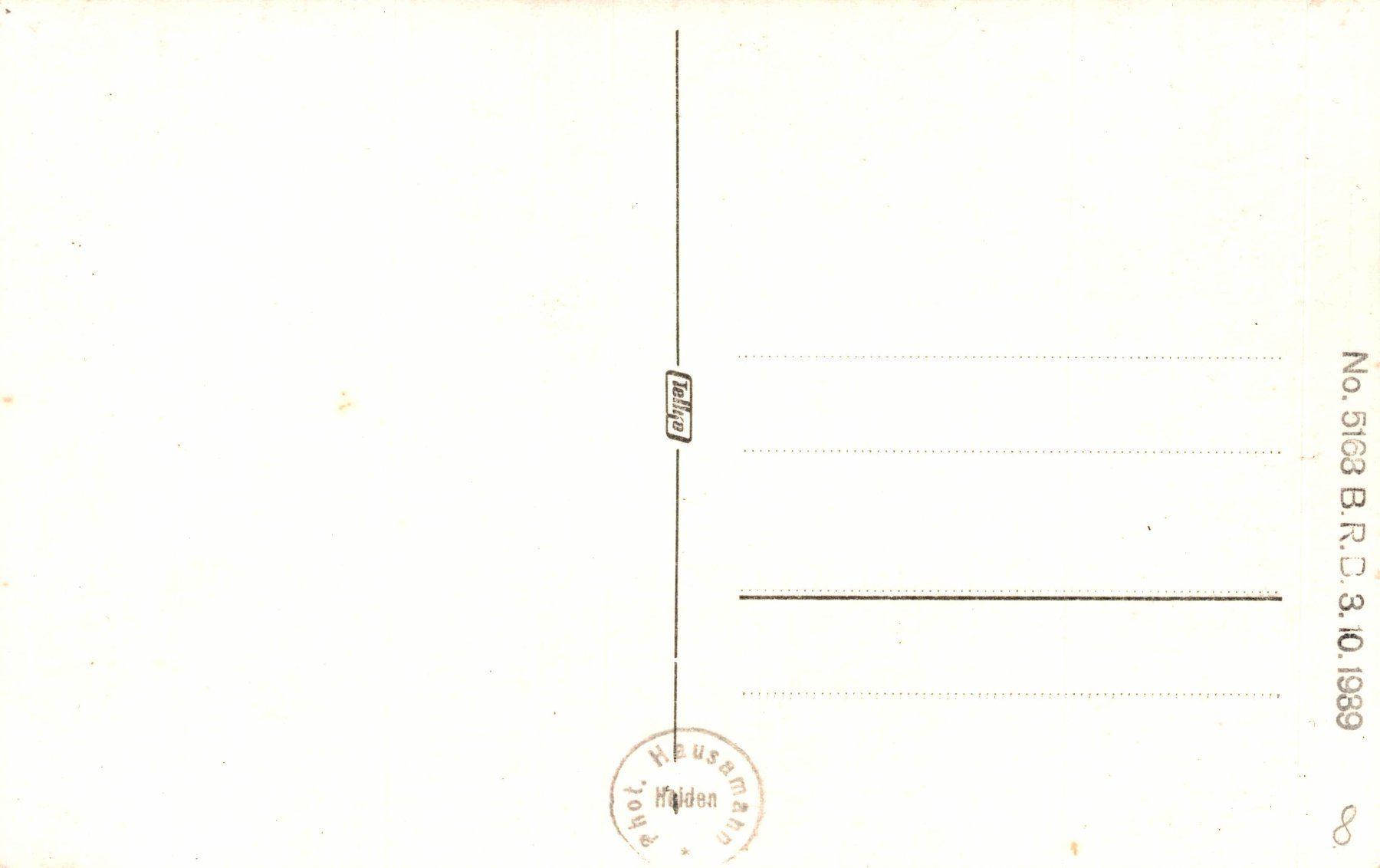 Cartoline postali: Panorama Heiden – Usato da Bronschhofen venduto da Astore 1