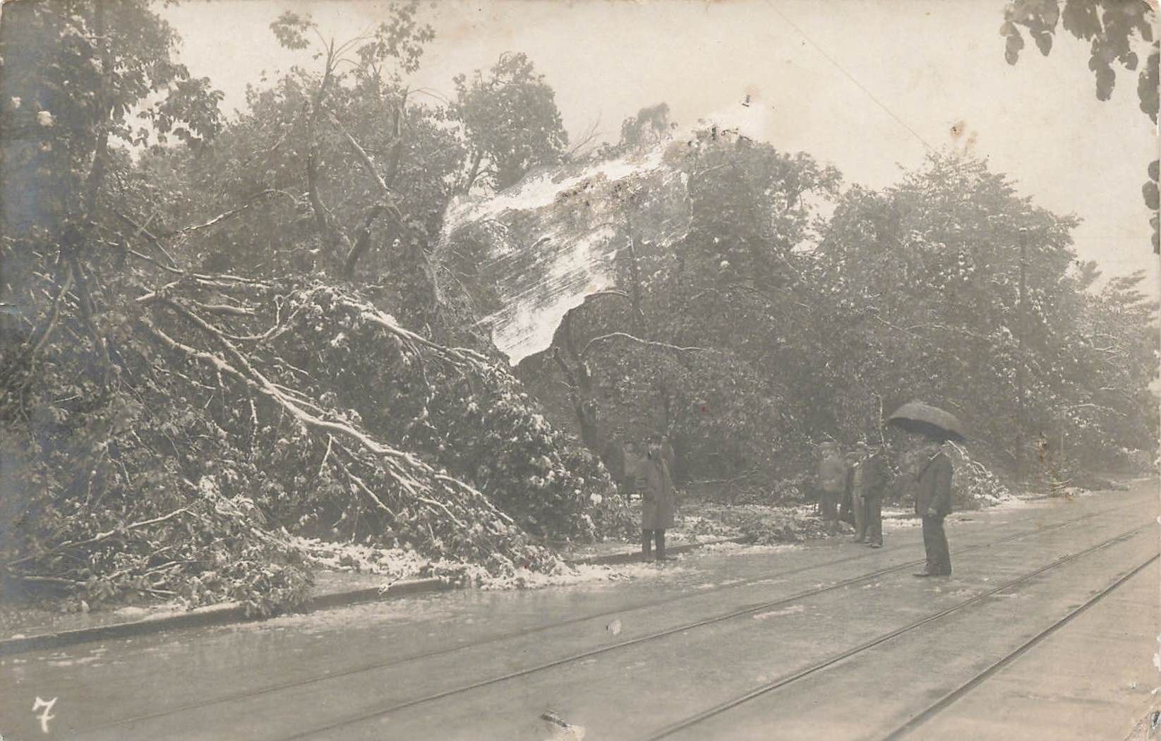 Cartes postales: Zurich Verheerung durch Schneefall 1908 – D'occasion à Biasca par Blenio71