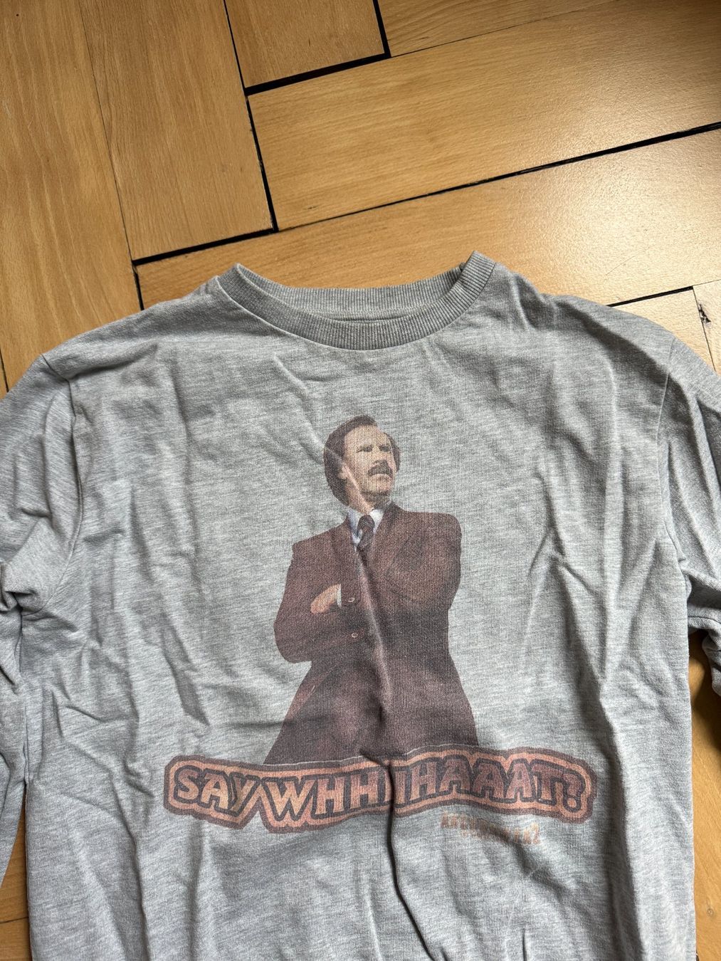 Pullover & Sweatshirts: Anchorman 2 Sweatshirt hellgrau M – Gebraucht aus Zürich von Diazaio 1