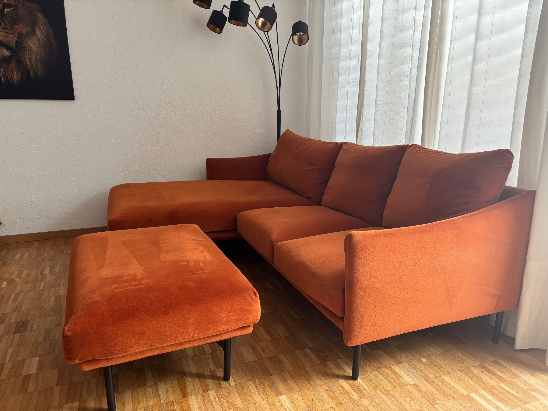 Sofas: Samtsofa von Raumfreunde – Gebraucht aus Uster von SandraHandl 1