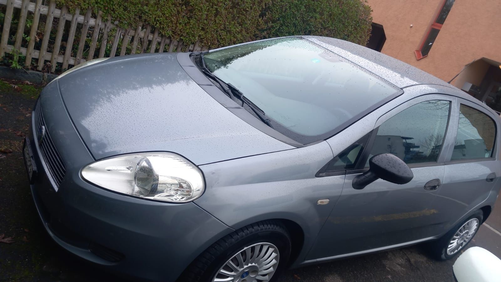 Fiat Automobili:  Fiat Punto 1.4 8v – Usato da Wettingen venduto da mer_w2pd 9