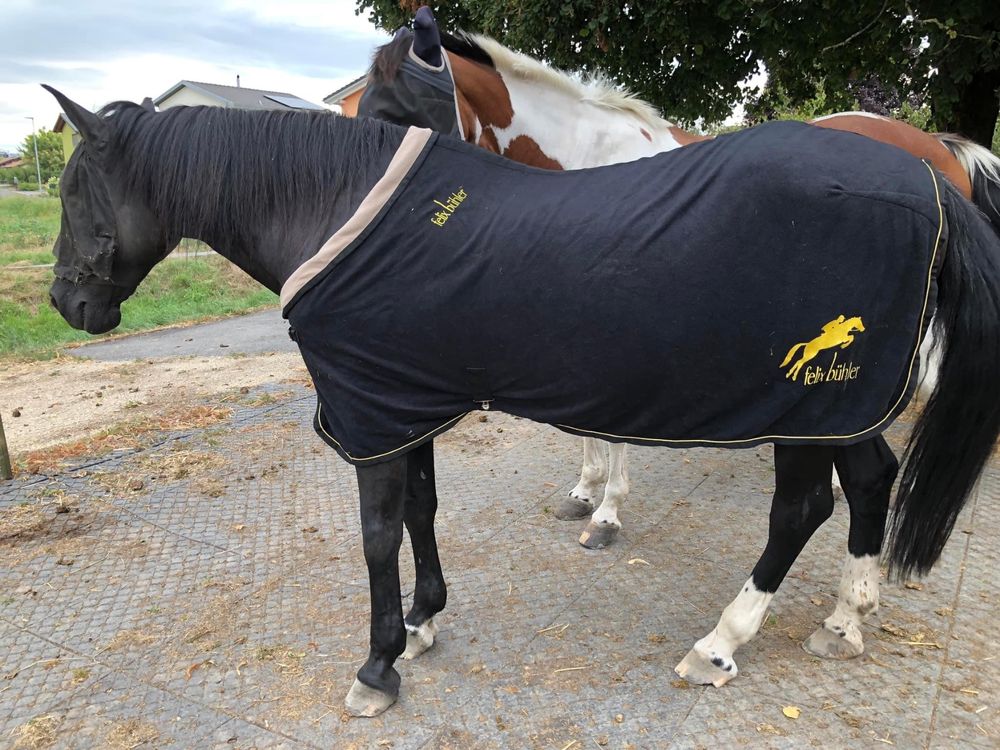 Couverture polaire imperméable pour cheval QHP collection 50gr