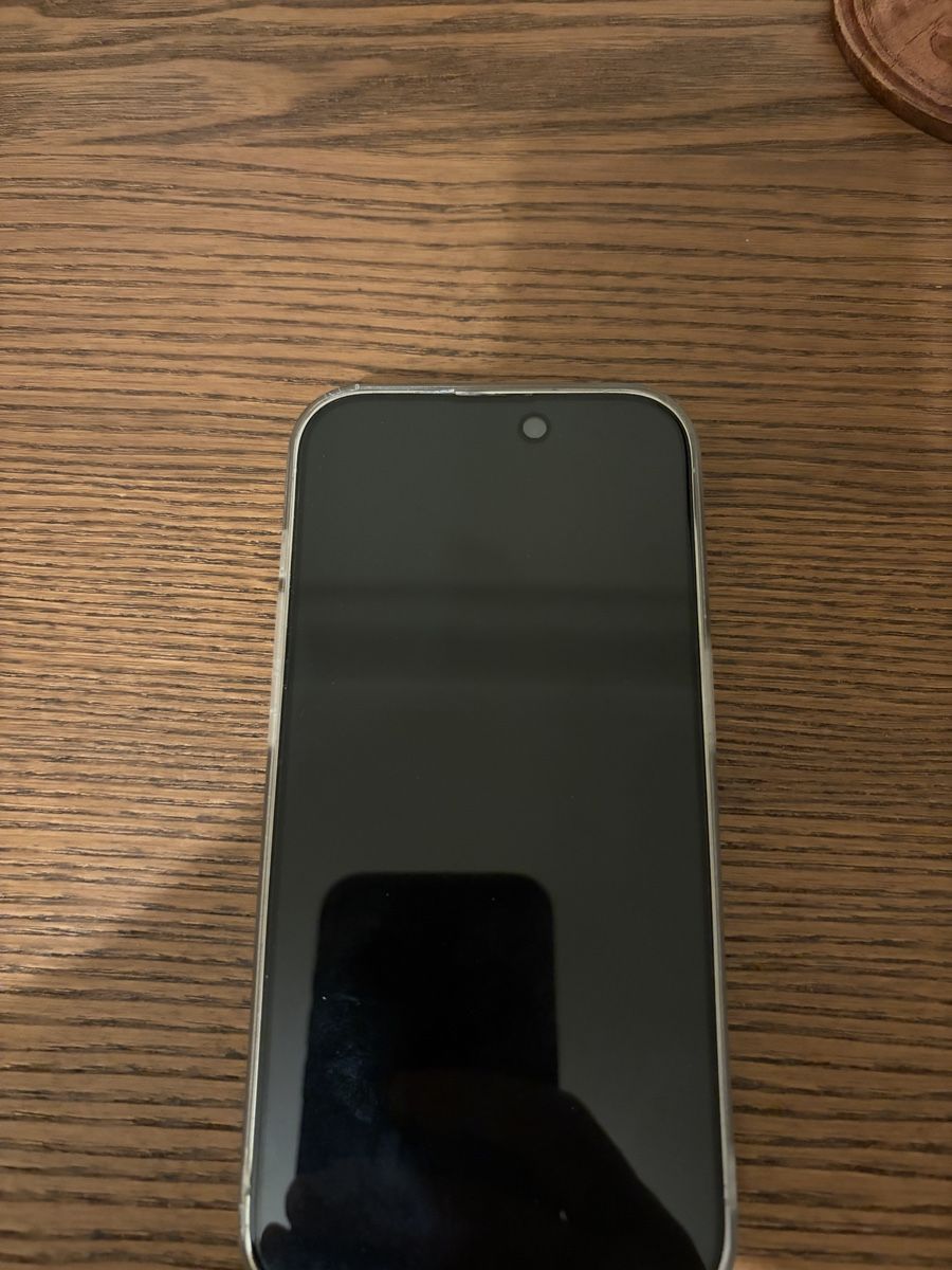 Apple Telefoni cellulari / Smartphones: Apple iPhone 14 Pro 256GB – Silver – Usato da Genève venduto da mll_q2wl 1