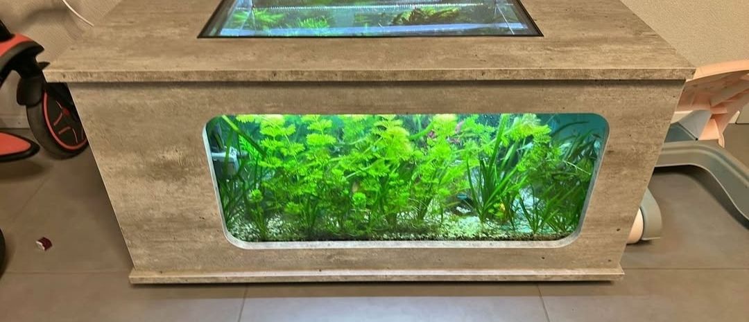 Aquarium: aquarium table – D'occasion à Schwarzsee par Blt1