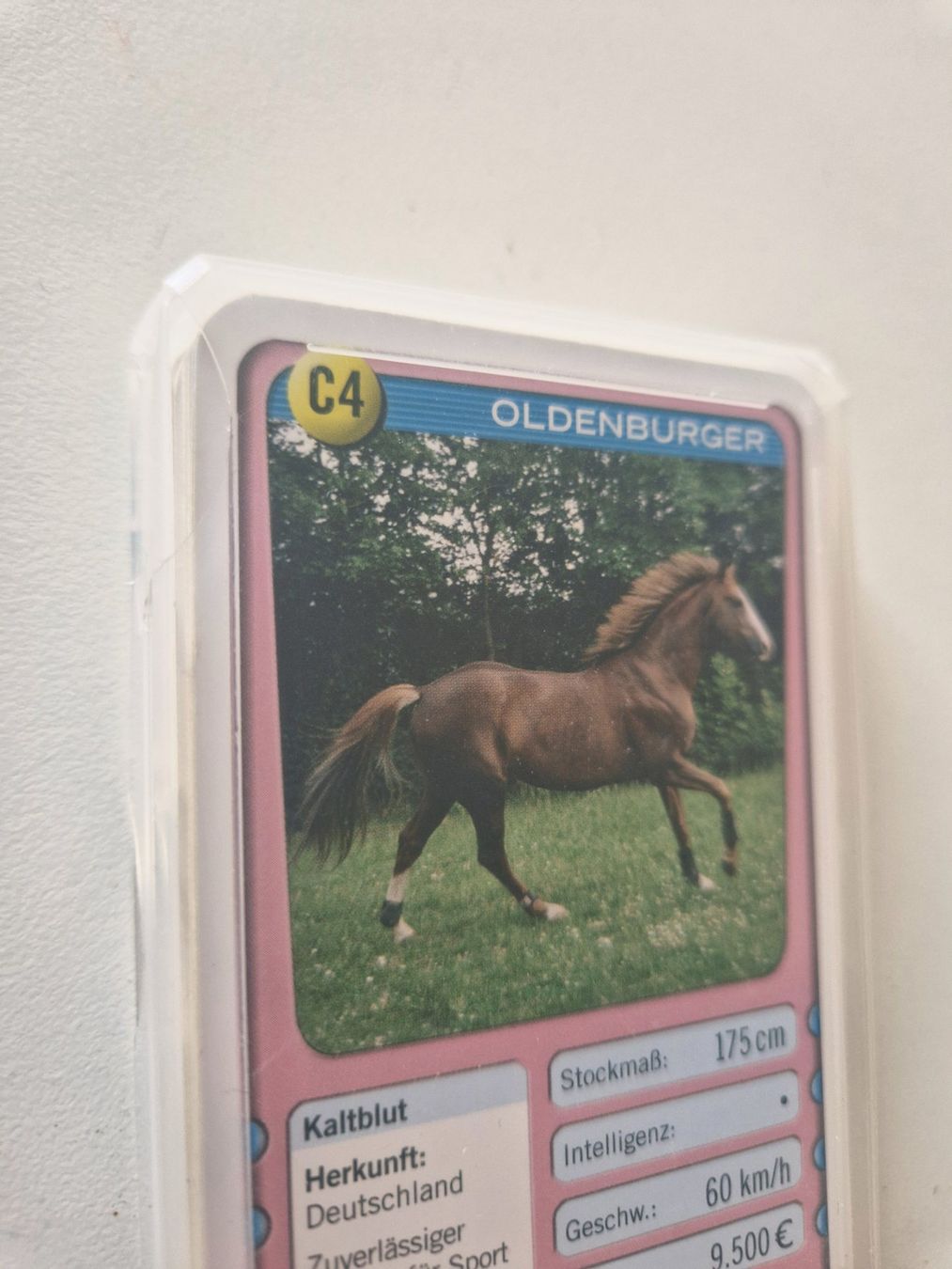 Spiele: Spiel Quartett – Gebraucht aus Stüsslingen von white_angel86 1