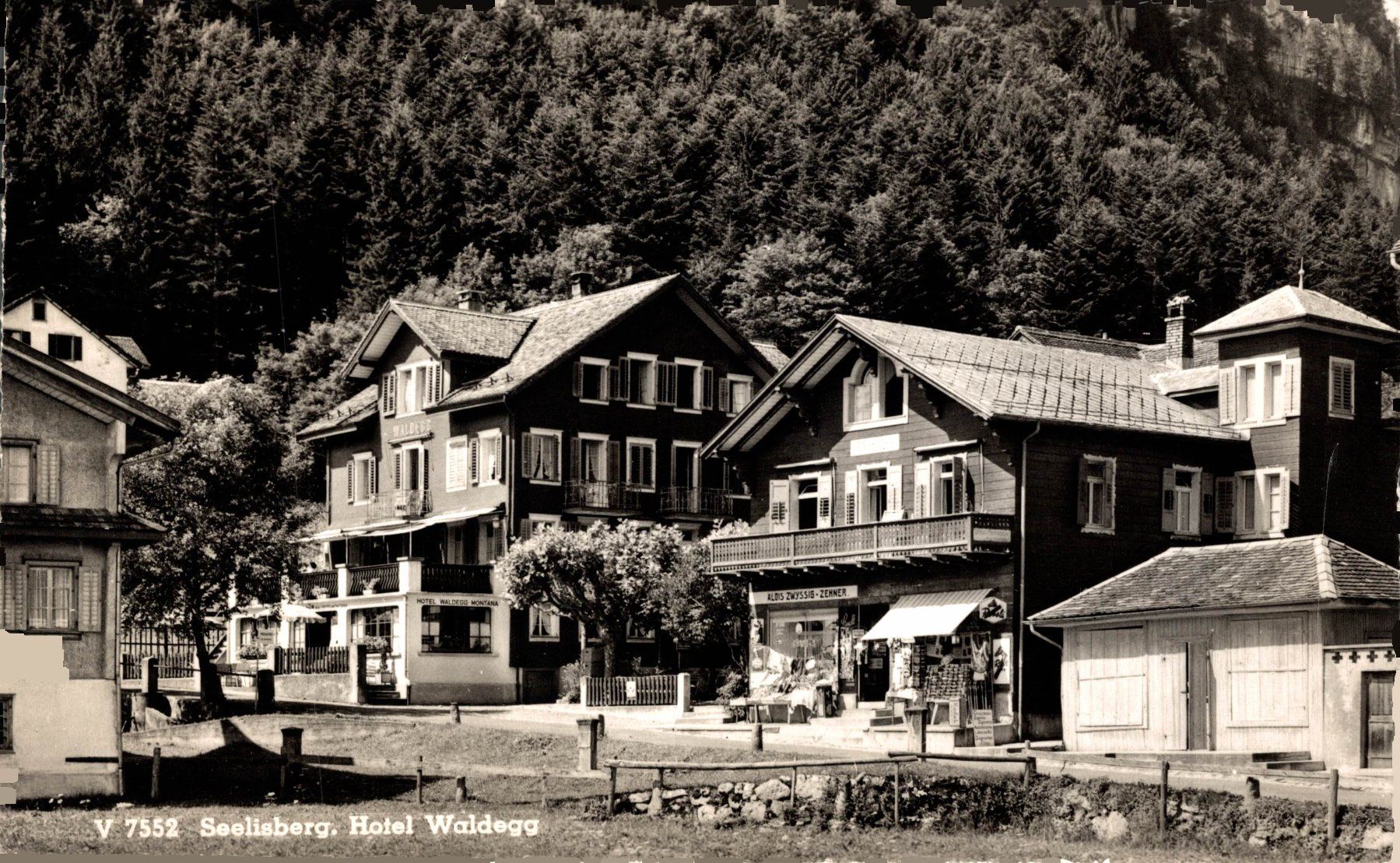 Cartoline postali: Seelisberg. Hotel Waldegg – Usato da Bronschhofen venduto da Astore