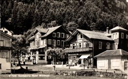 Seelisberg. Hotel Waldegg