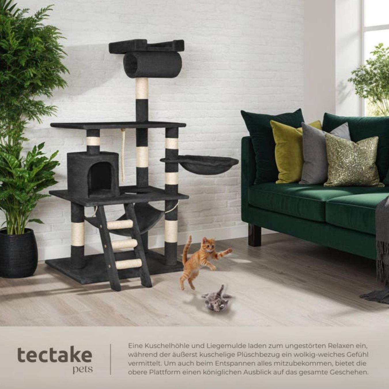 Tiragraffi: Kratzbaum Stokeley 141cm schwarz - Gratis Versand – Nuovo e nell'imballaggio originale da Kleinwangen venduto da meinwarenkorb.ch 2
